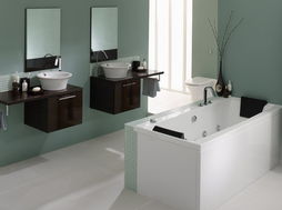 卫浴行业市场呈现三大热点 走向理性 水暖洁具